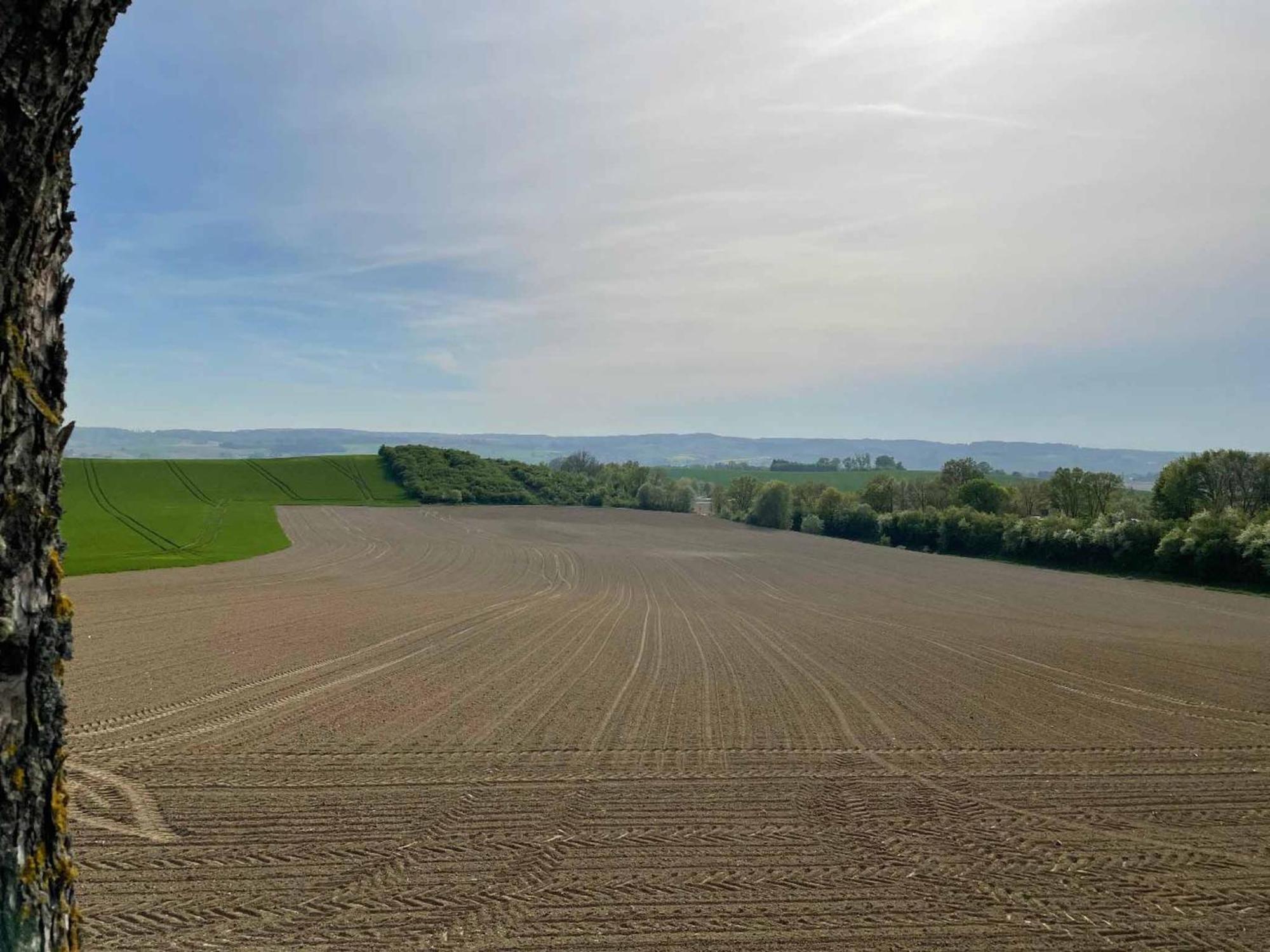 Appartement Am Brunnenplatzl Mit Bademantelzugang Bad Griesbach  Exteriör bild