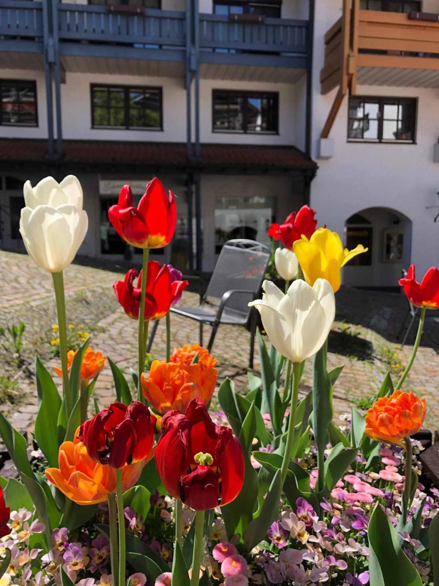 Appartement Am Brunnenplatzl Mit Bademantelzugang Bad Griesbach  Exteriör bild